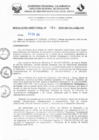 Vista preliminar de documento RD N° 834-2025