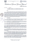 Vista preliminar de documento Resolución Gerencia General N° 274-2025