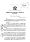 Vista preliminar de documento RESOLUCION GERENCIAL GENERAL REGIONAL N236-2025-GRA-GGR