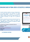 Vista preliminar de documento comunicado 04