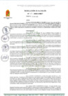 Vista preliminar de documento R A 81-2025-A-MDT