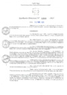 Vista preliminar de documento RD Nº 1240-2025 - IE 00957