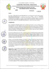 Vista preliminar de documento RESOLUCION N°489