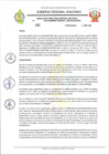 Vista preliminar de documento RESOLUCION N 481