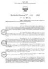 Vista preliminar de documento RD Nº 1737-2025 - IE 00894