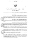 Vista preliminar de documento RD Nº 1738-2025 - IE 00823