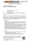Vista preliminar de documento Informe 001-2025-INS-GG-WAVP
