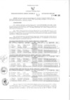 Vista preliminar de documento -991873794830141405