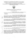 Vista preliminar de documento RD Nº 3970-2024 - IE 00910