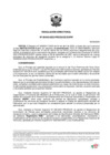 Vista preliminar de documento R.D. N° 00449-2025