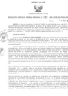 Vista preliminar de documento 197276977310004515