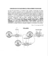 Vista preliminar de documento COMUNICADO DEL GANADOR DE LA BUENA PRO - DIVREINT PNP PIURA