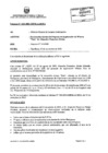 Vista preliminar de documento Informe N° 333-2003-MEM-AAM_EA