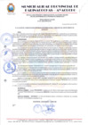Vista preliminar de documento RESOLUCION 315