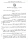 Vista preliminar de documento RD Nº 3156-2024 - IE 317 - INICIAL