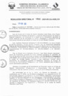 Vista preliminar de documento RD N° 841-2025