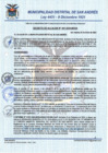 Vista preliminar de documento DECRETO DE ALCALDIA N°001-2025-MDSA