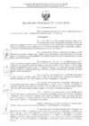 Vista preliminar de documento RD Nº 3158-2024 - IE 216 - INICIAL