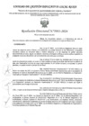 Vista preliminar de documento RD Nº 3981-2024 - IE 00187