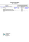 Vista preliminar de documento Anexo RD N 052 - Rectificacion