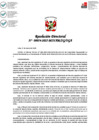 Vista preliminar de documento RD N 054 - Aprueba baja de bienes por causal de estado de excedencia