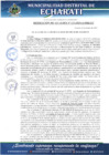 Vista preliminar de documento RESOL N°113-2025-A001