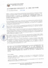 Vista preliminar de documento ACUERDOS DE CONCEJO N°033-2020-MCPSMH 