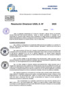 Vista preliminar de documento Resolucion Directoral N° 003122-2025