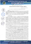 Vista preliminar de documento RESOL N°125-2025-A001