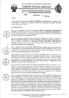 Vista preliminar de documento RESOLUCION N°509