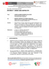 Vista preliminar de documento INFORME-000021-2024-DTN