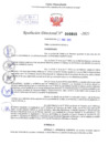 Vista preliminar de documento Resolución Directoral. N° 0805 - 2025 