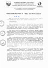 Vista preliminar de documento RD N° 858-2025
