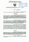 Vista preliminar de documento RD N° 009-2025  ORIENTACIONES PARA LA IDENTIFICACION DE NECESIDADES FORMATIVAS