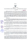 Vista preliminar de documento 963985309537268262