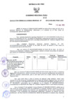 Vista preliminar de documento 2554861001525169110