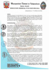 Vista preliminar de documento RESOLUCIÓN JEFATURAL Nº015-2025-MDI-OGA