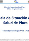 Vista preliminar de documento SALA_SITUACIONAL_SE_18