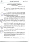 Vista preliminar de documento 55245_RESOLUCION N°0199