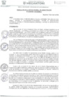 Vista preliminar de documento 11772_RESOLUCION N°0209