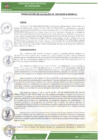 Vista preliminar de documento ra-093