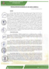 Vista preliminar de documento ra-097