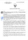 Vista preliminar de documento RD-2114-2025-DSAIA-DIRIS-LE-MINSA