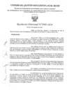 Vista preliminar de documento RD Nº 3983-2024 - IE 00613