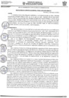 Vista preliminar de documento RESOLUCION N°0251