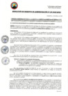Vista preliminar de documento RGA195-2025