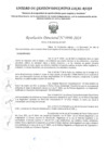 Vista preliminar de documento RD Nº 3990-2024 - IE 01028
