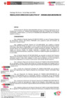 Vista preliminar de documento RESOLUCION DIRECCION EJECUTIVA-000393-2025-DE