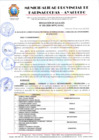 Vista preliminar de documento RESOLUCION 333