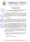Vista preliminar de documento RESOLUCION 334